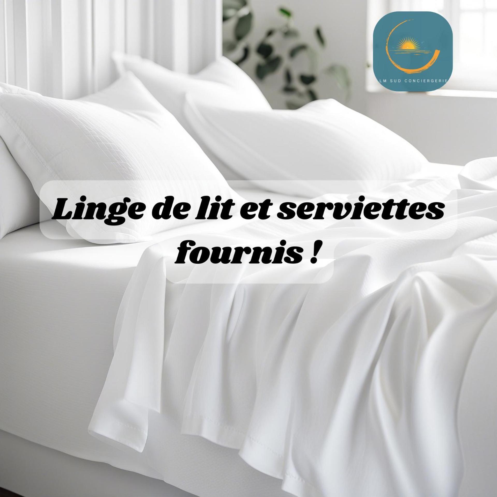 * F3 Haussmannien, Centre-Ville, 4 Pers, Wifi * Montpellier Esterno foto