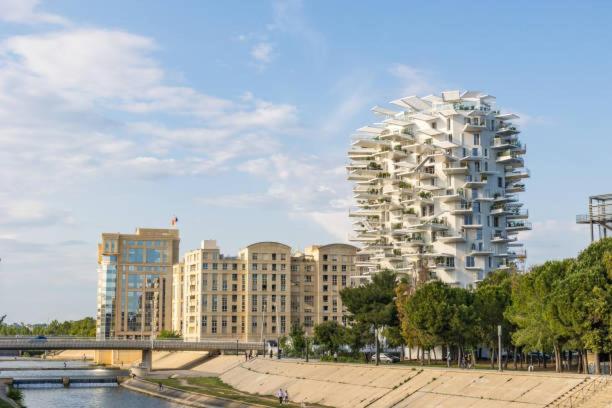 * F3 Haussmannien, Centre-Ville, 4 Pers, Wifi * Montpellier Esterno foto