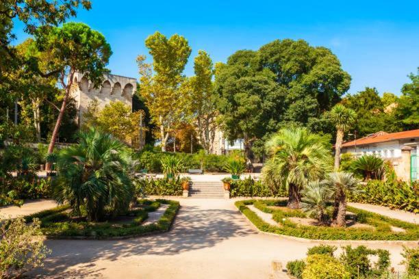 * F3 Haussmannien, Centre-Ville, 4 Pers, Wifi * Montpellier Esterno foto